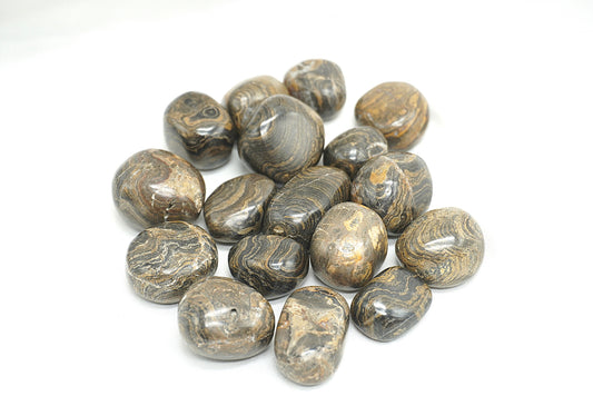 PIERRE ROULEE STROMATOLITE
