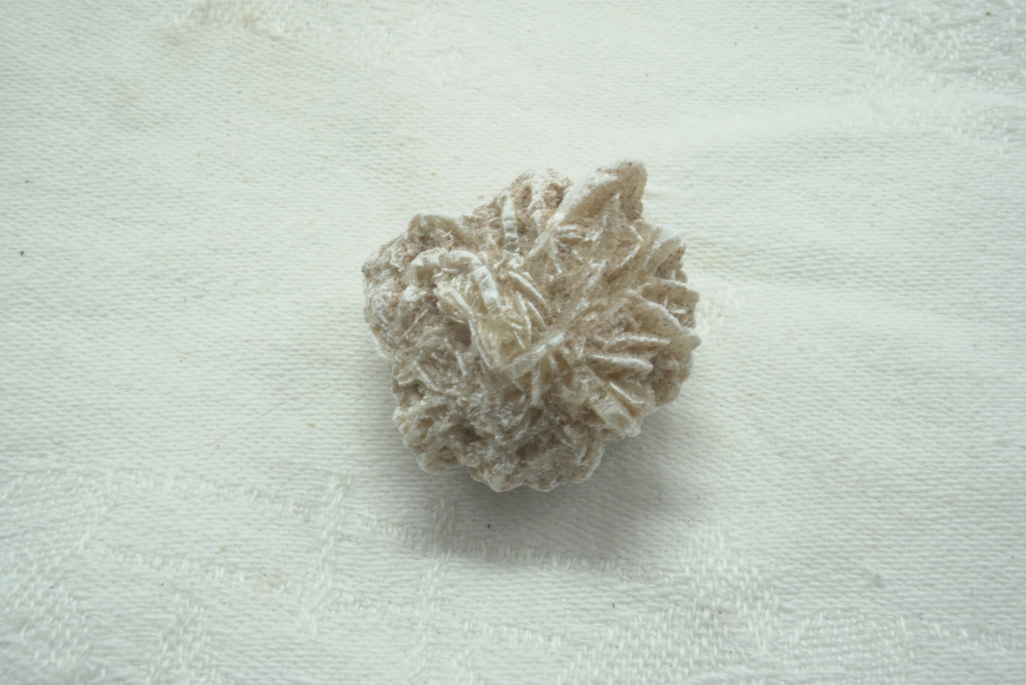 ROSE DES SABLES DU MEXIQUE