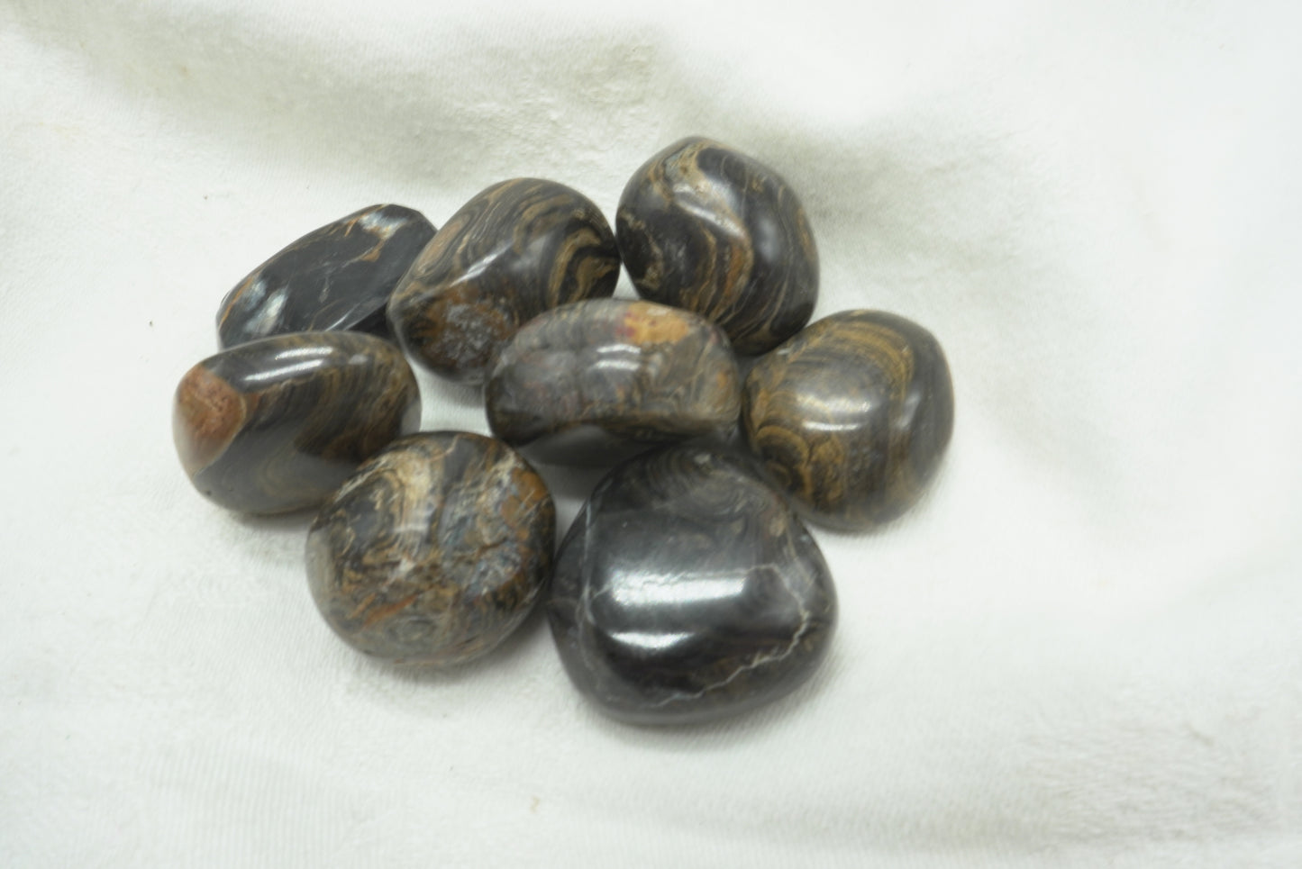 PIERRE ROULEE STROMATOLITE