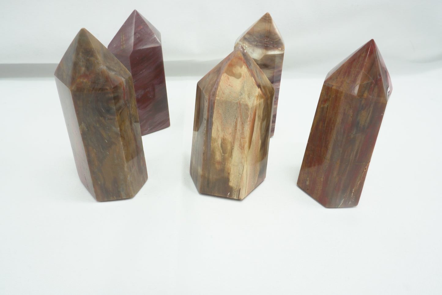 POINTE BOIS FOSSILE (- de 150 grammes)