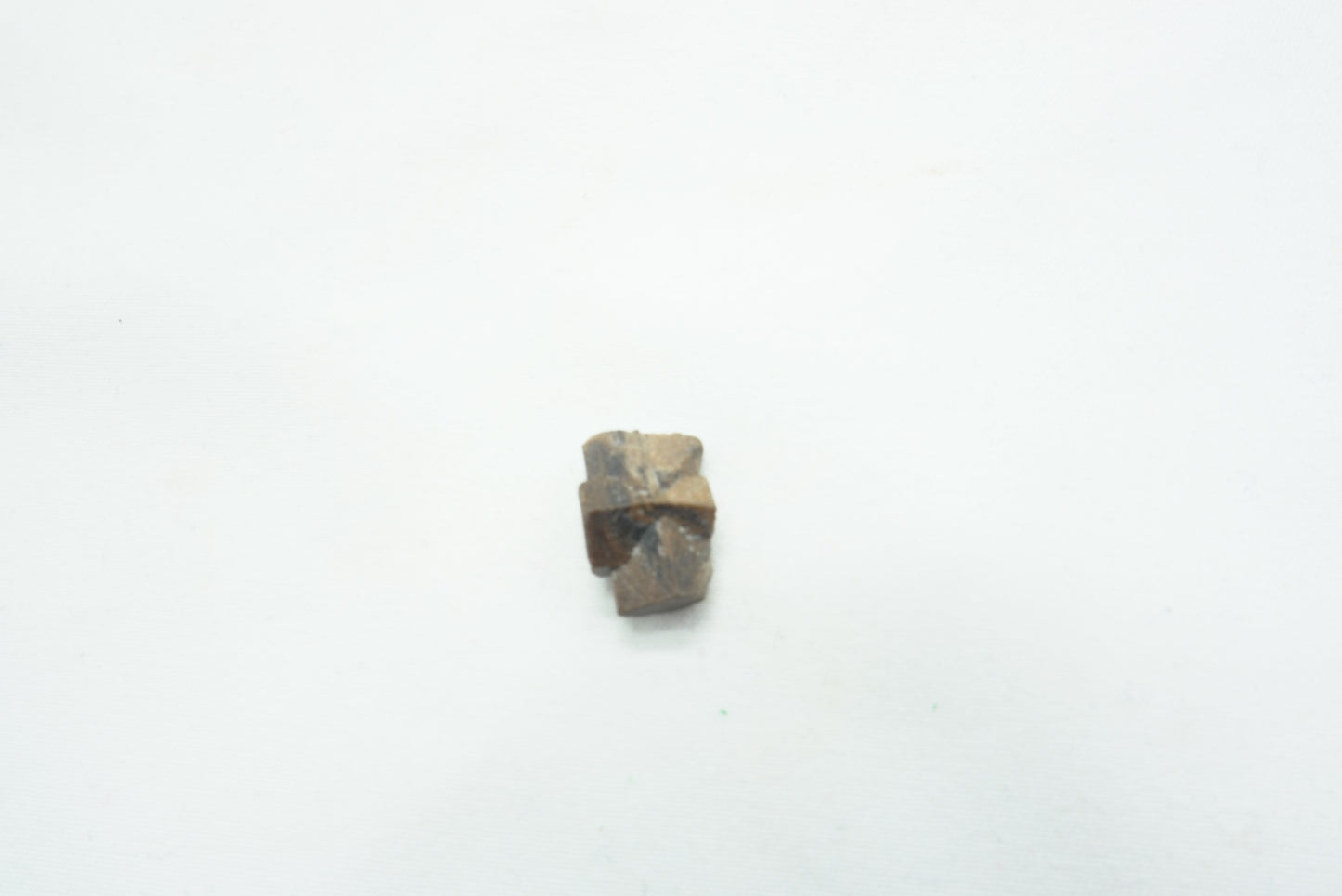 STAUROTIDE (15mm)