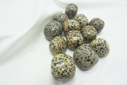 PIERRE ROULEE JASPE DALMATIEN