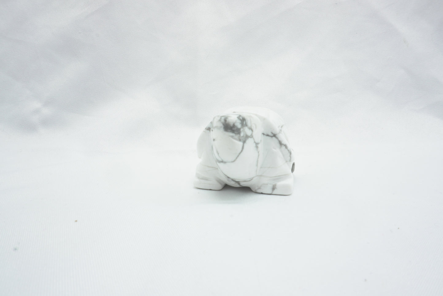 TORTUE HOWLITE (50MM)