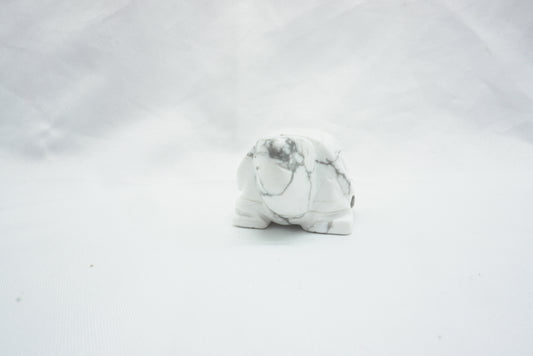 TORTUE HOWLITE (50MM)