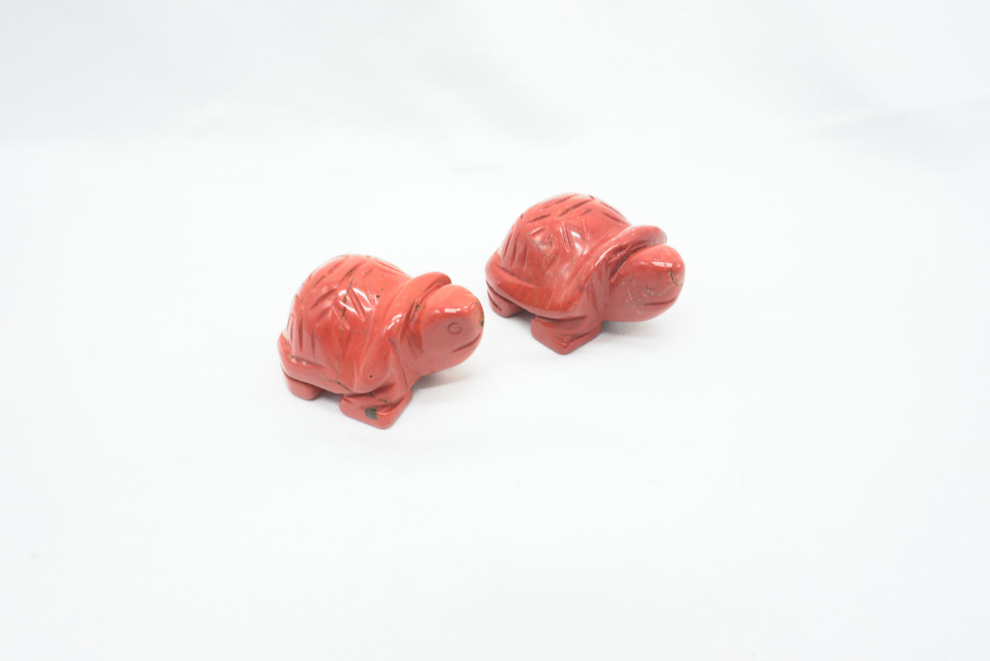 TORTUE JASPE ROUGE