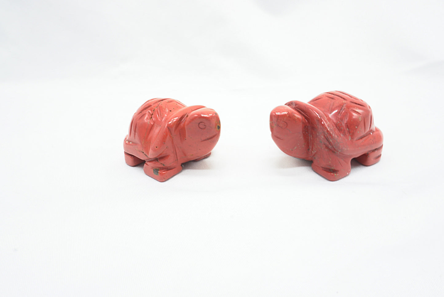 TORTUE JASPE ROUGE