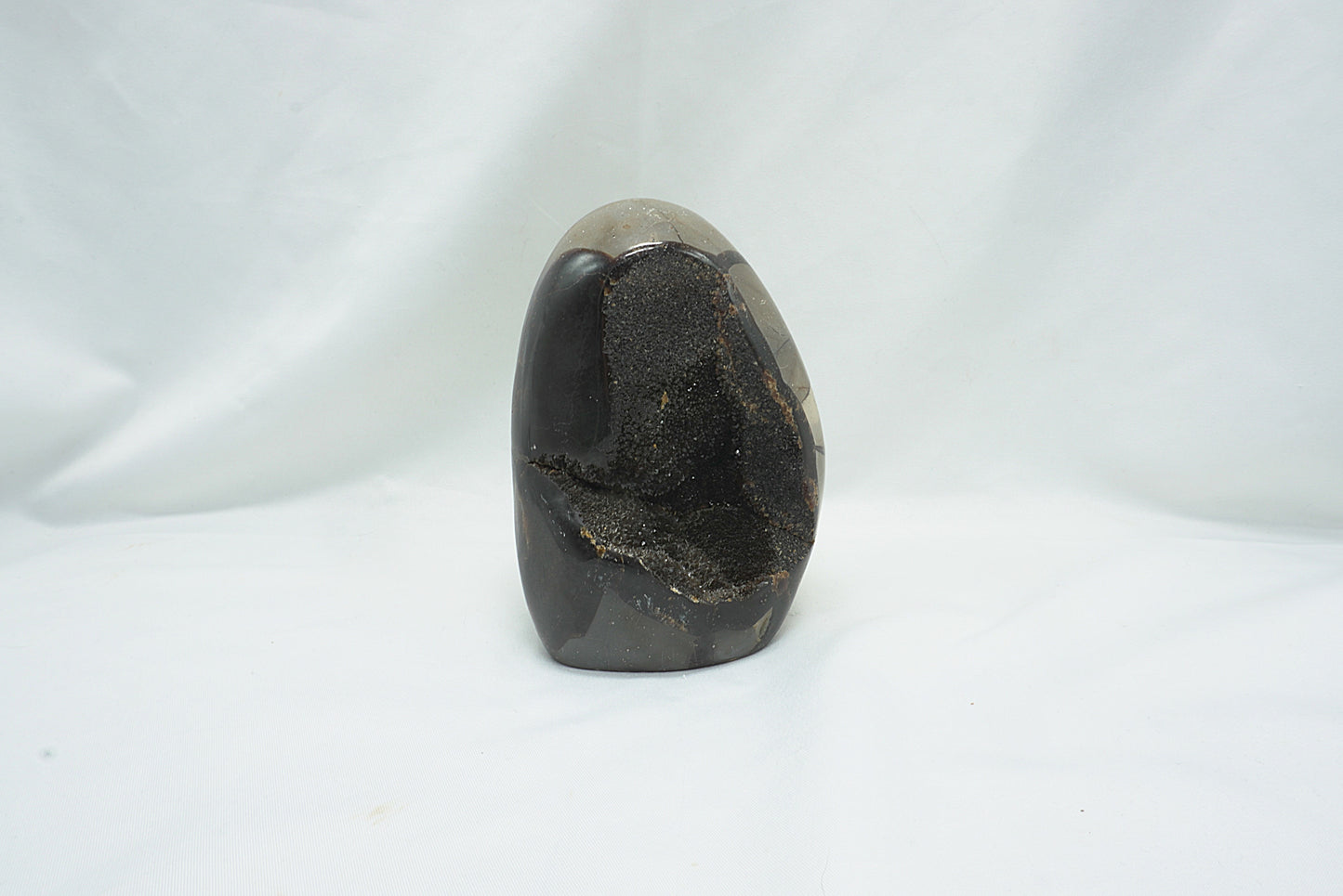 OEUF SEPTARIA SAUVAGE (818 grammes)