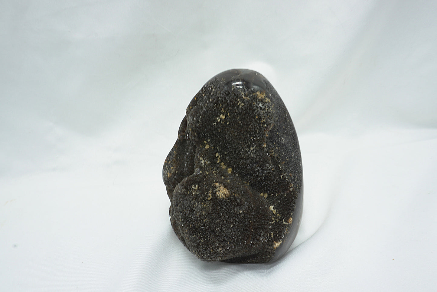 OEUF SEPTARIA SAUVAGE (800 grammes)