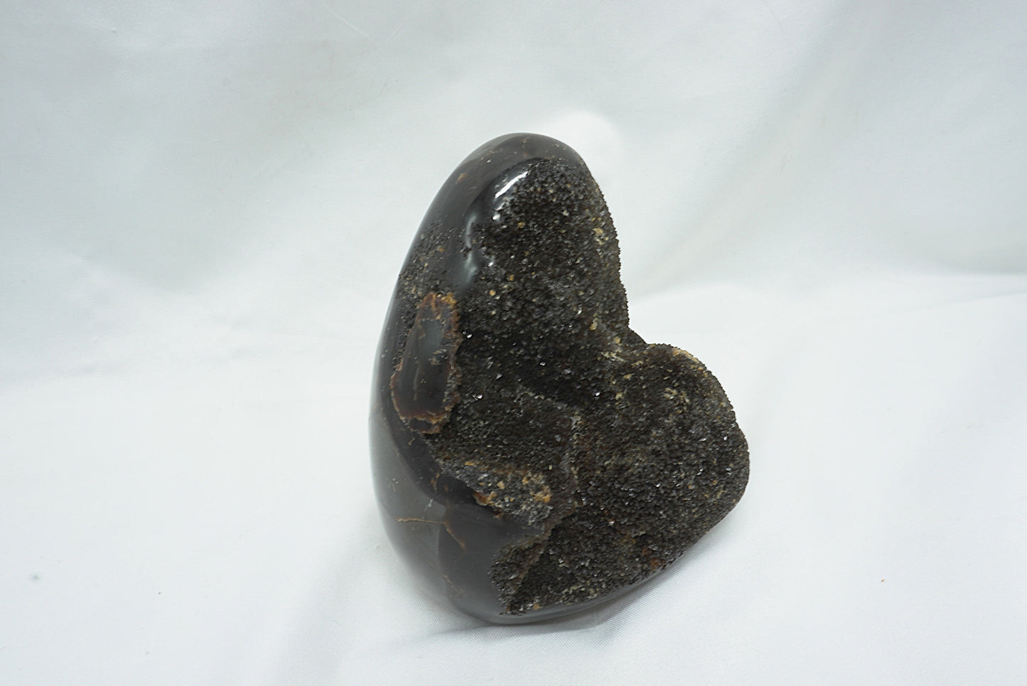OEUF SEPTARIA SAUVAGE (800 grammes)