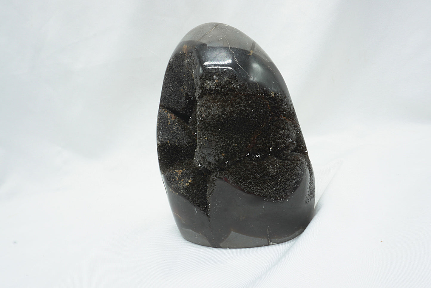 OEUF SEPTARIA SAUVAGE (787 grammes)