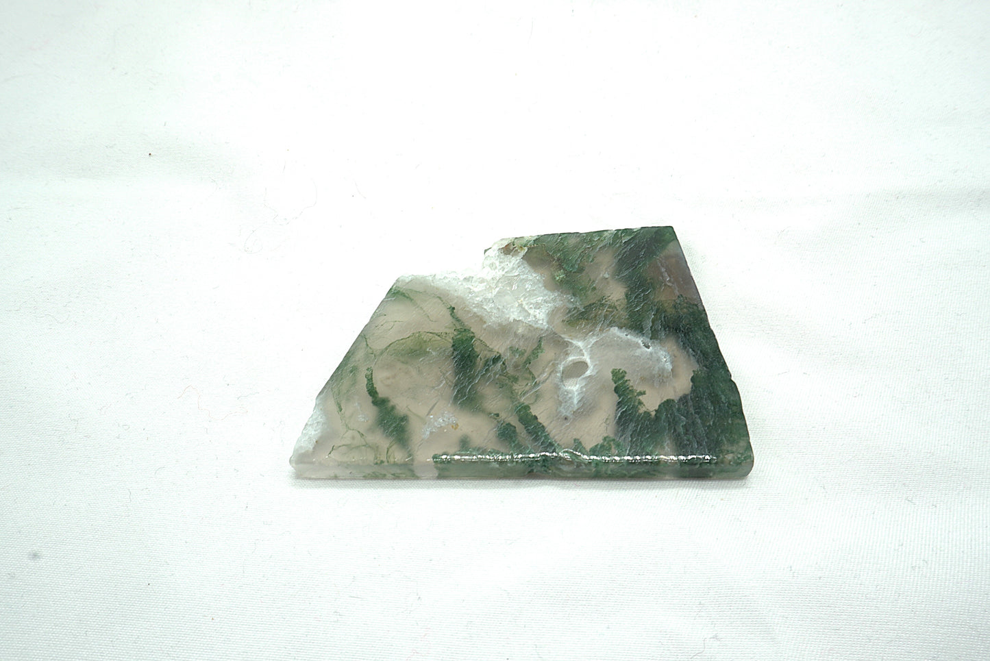 PLAQUE AGATE MOUSSE (43 grammes)
