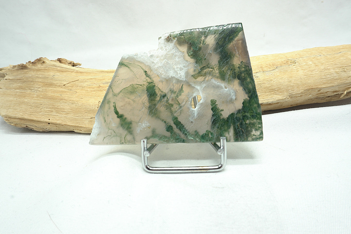 PLAQUE AGATE MOUSSE (43 grammes)
