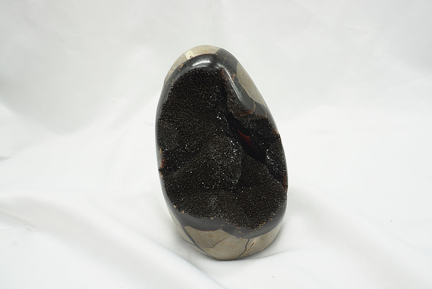 OEUF SEPTARIA SAUVAGE (628 grammes)