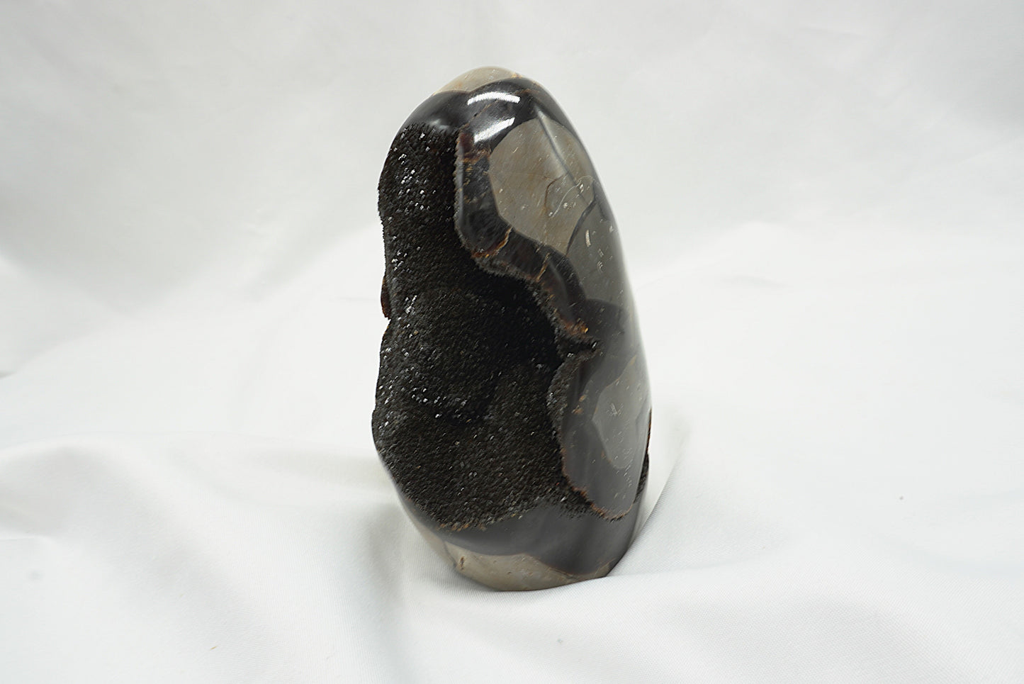 OEUF SEPTARIA SAUVAGE (628 grammes)