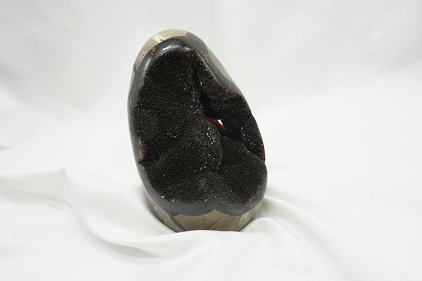 OEUF SEPTARIA SAUVAGE (628 grammes)