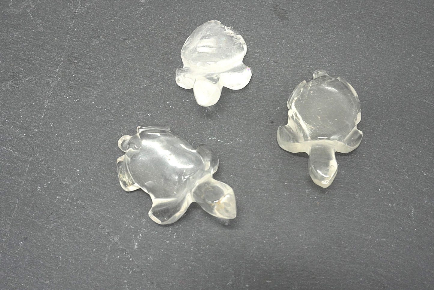 TORTUE CRISTAL DE ROCHE