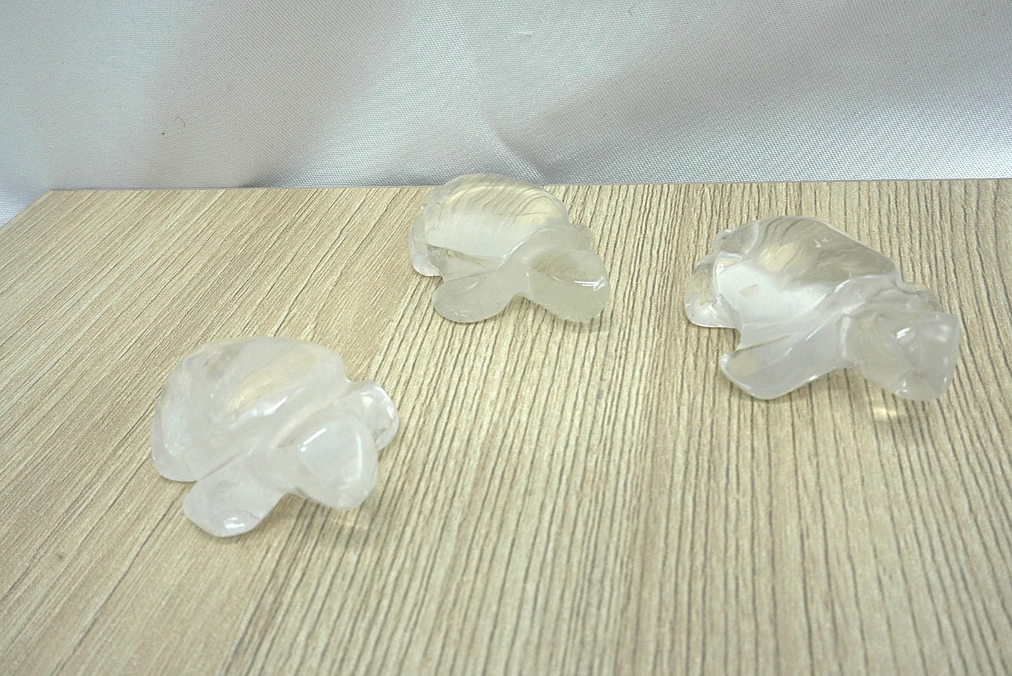 TORTUE CRISTAL DE ROCHE