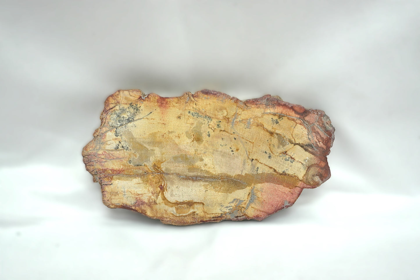 PLAQUE BOIS FOSSILISE 2 FACES POLIES (103 grammes)