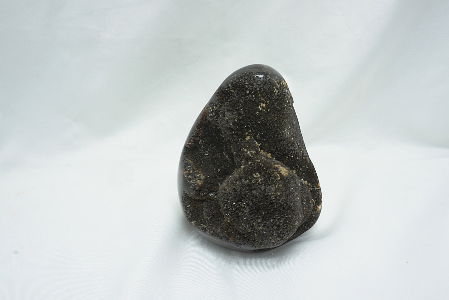 OEUF SEPTARIA SAUVAGE (800 grammes)