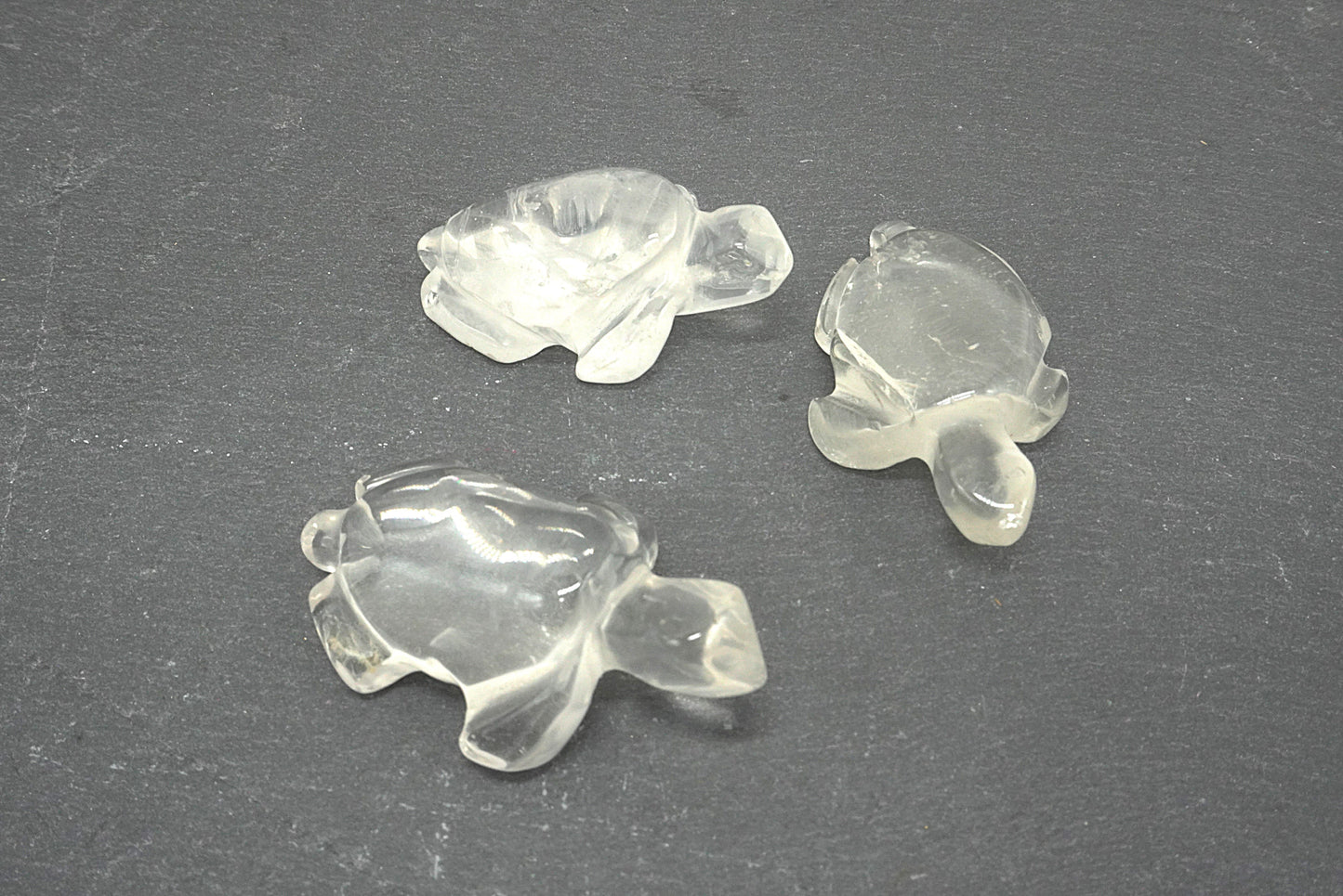 TORTUE CRISTAL DE ROCHE