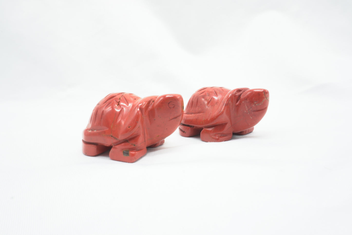 TORTUE JASPE ROUGE