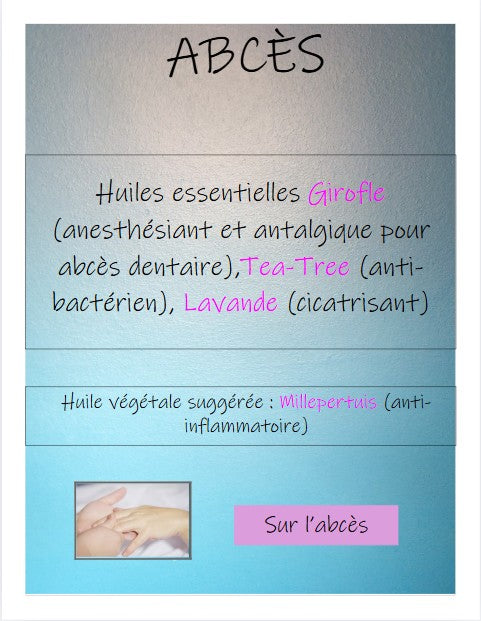 LES PLANCHES DE SOPHIE HUILES ESSENTIELLES FORMAT NUMERIQUE