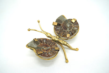 AMMONITE FORME PAPILLON (ref 1)