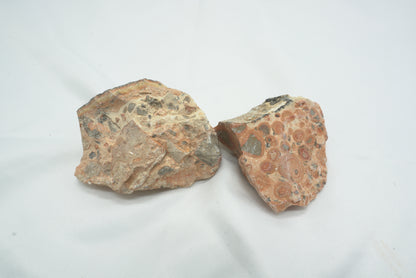 BRUT JASPE LEOPARD XL