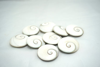 GALET OEIL DE SAINTE LUCIE DU PACIFIQUE