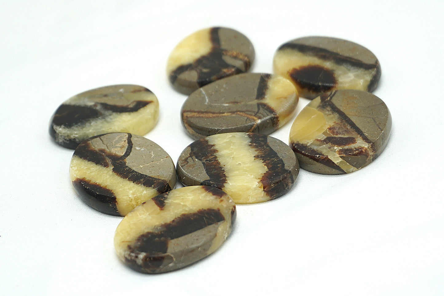 GALET PLAT SEPTARIA