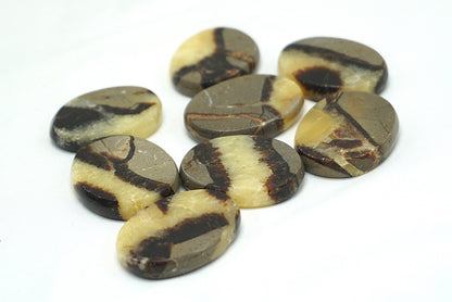 GALET PLAT SEPTARIA