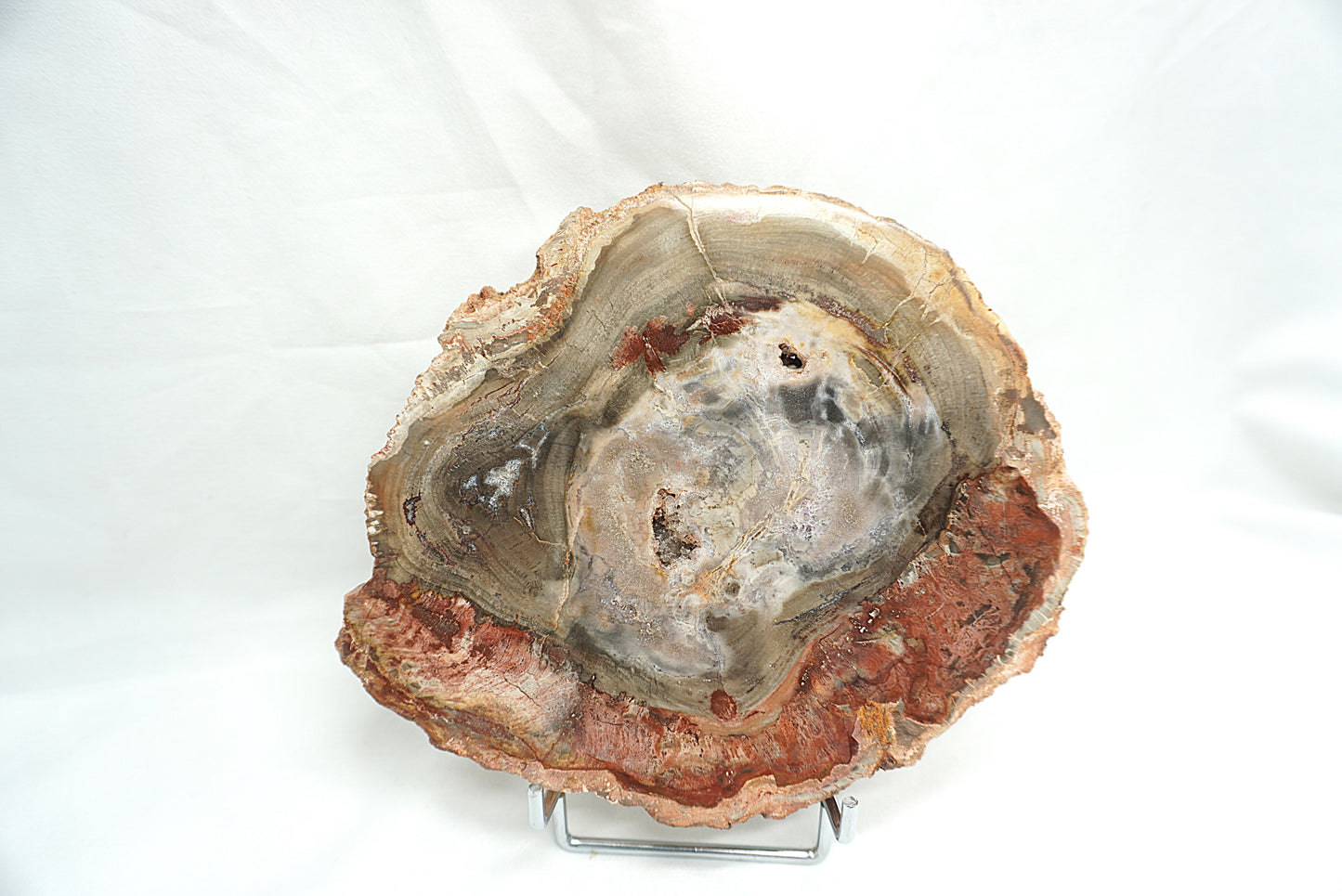 PLAQUE BOIS FOSSILISE 2 FACES POLIES (898 grammes)