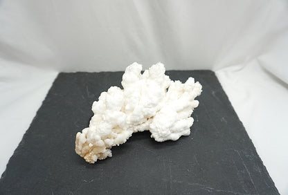 BRUT ARAGONITE BLANCHE (657 grammes)