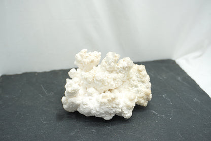 BRUT ARAGONITE BLANCHE (557 grammes)