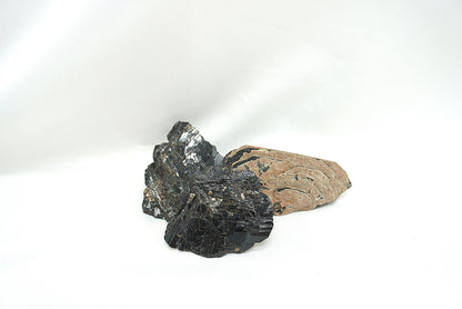 BRUT TOURMALINE NOIRE EN EVENTAIL
