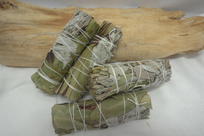 FAGOT SAUGE BLANCHE & EUCALYPTUS