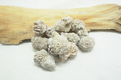 ROSE DES SABLES DU MEXIQUE