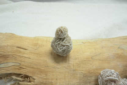 ROSE DES SABLES DU MEXIQUE