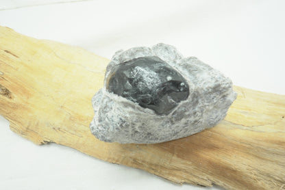 OBSIDIENNE LARME D'APACHE SUR GANGUE