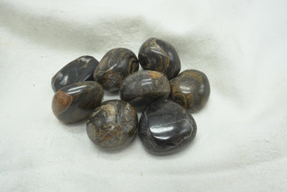 PIERRE ROULEE STROMATOLITE