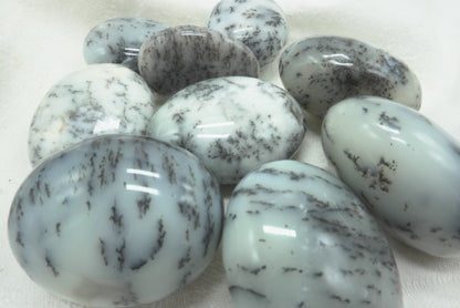 GALET AGATE DENDRITIQUE
