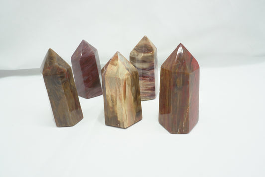 POINTE BOIS FOSSILE (- de 150 grammes)