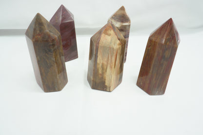 POINTE BOIS FOSSILE (- de 150 grammes)