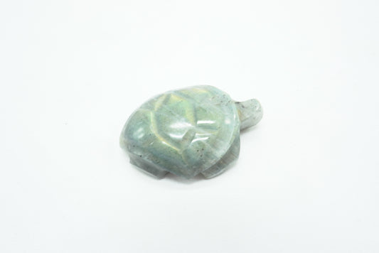 TORTUE LABRADORITE (ref 2)