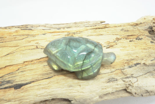 TORTUE LABRADORITE (ref 3)