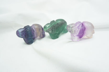 ELEPHANT FLUORITE MULTICOLORE
