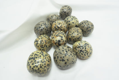 PIERRE ROULEE JASPE DALMATIEN