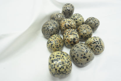PIERRE ROULEE JASPE DALMATIEN