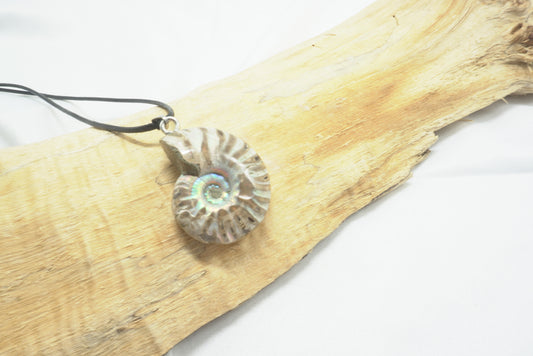 PENDENTIF AMMONITE FOUGERE IRISEE