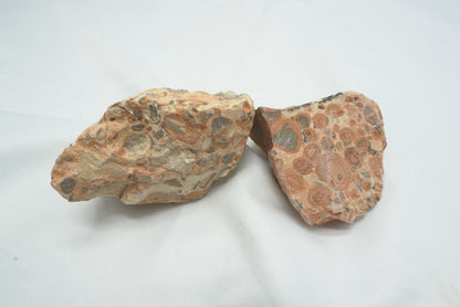 BRUT JASPE LEOPARD XL